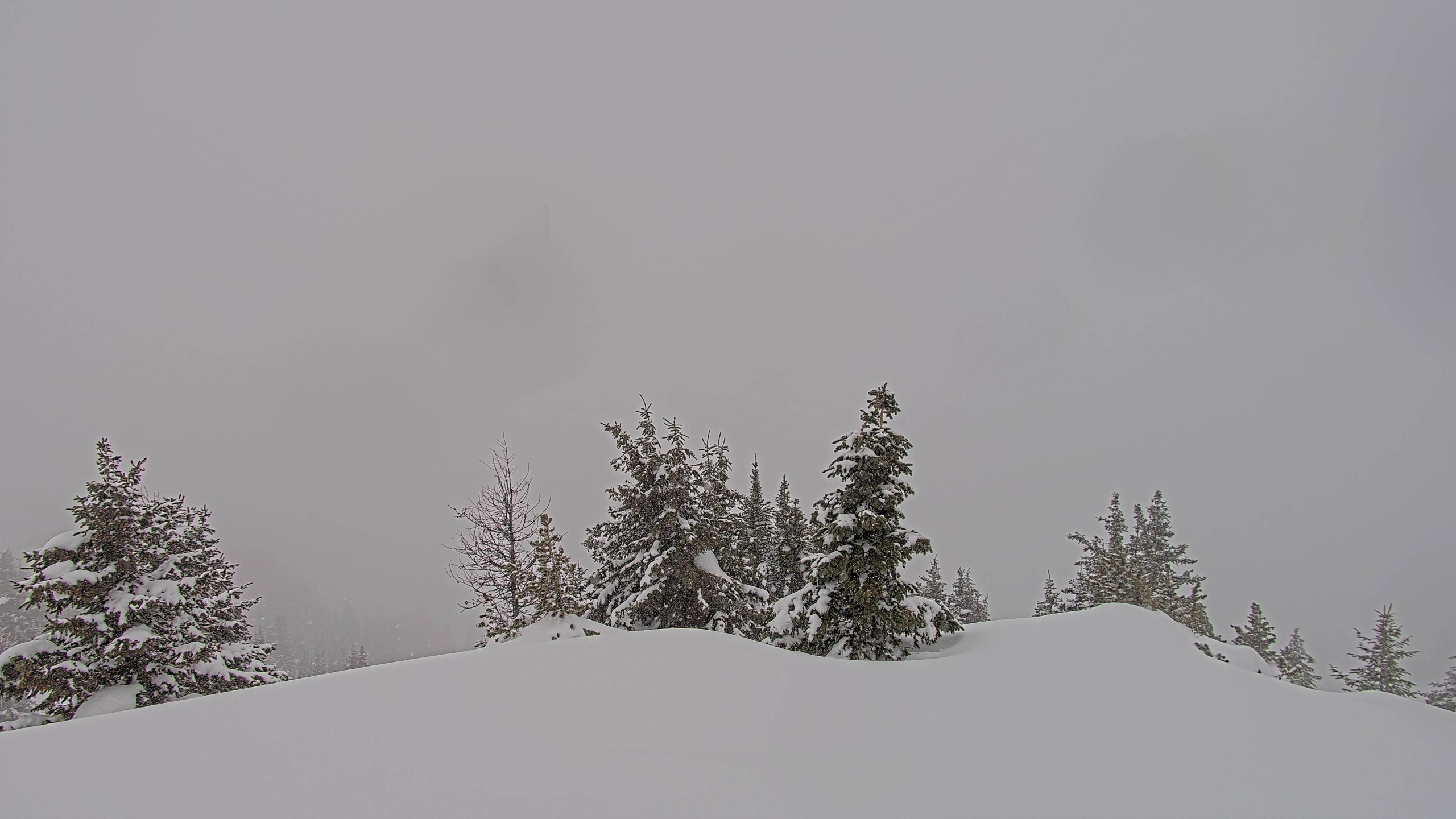 Delirium Dive, Sunshine Village Webcam