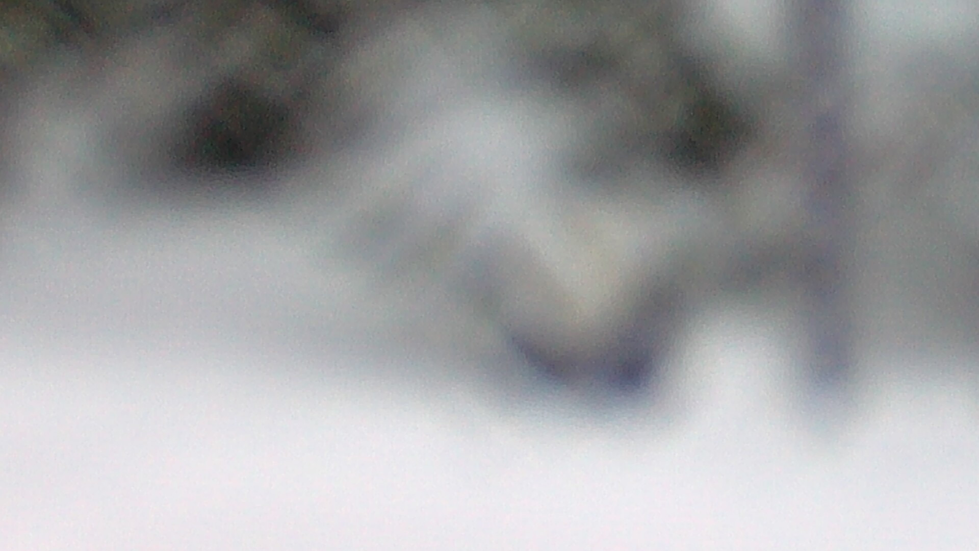 no thumbnail: click link in title