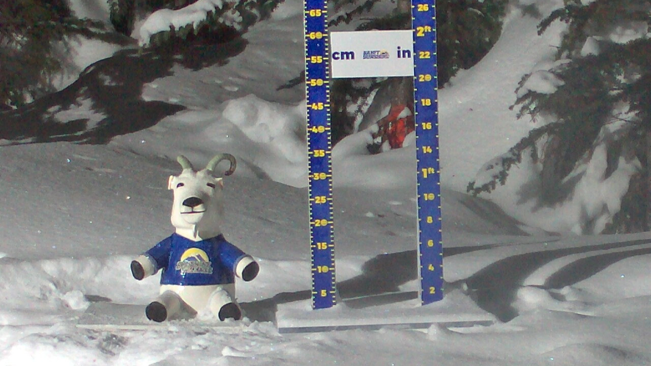 Storm Board/Vincent van Goat